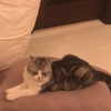 taylorswift Altpins Profile Picture