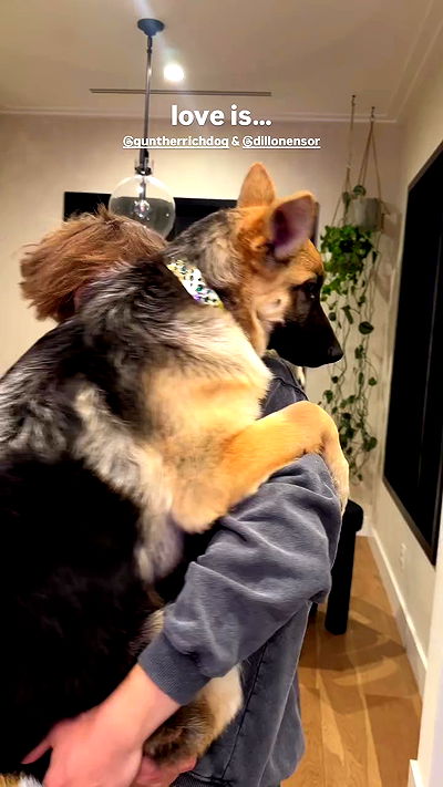 nevaaadaa nevaaadaa archive video