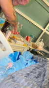 natahalieeee Altpins Profile Picture