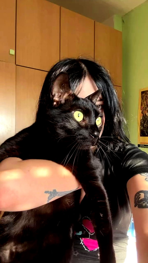 feelbetterinmysweater archive video preview