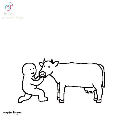 tuliprivet tuliprivet archive video