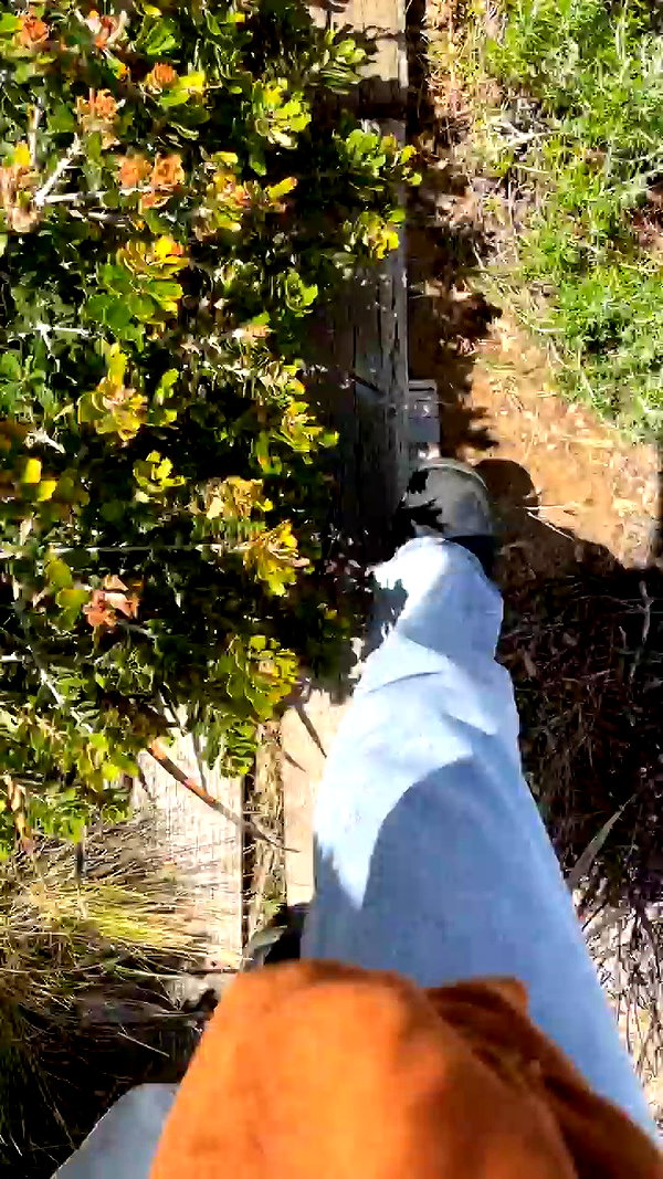 piper.jaylen archive video preview