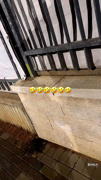 _lil_noa_ _lil_noa_ archive video