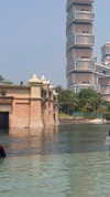 tohar.harosh Altpins Profile Picture