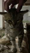 _wayw4rd_ Altpins Profile Picture