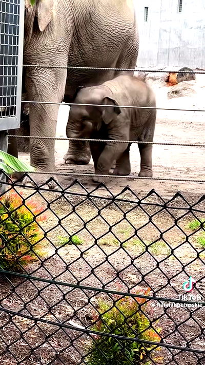 tobynjacobs tobynjacobs archive video