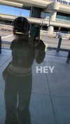 ll3nh3ntai Altpins Profile Picture