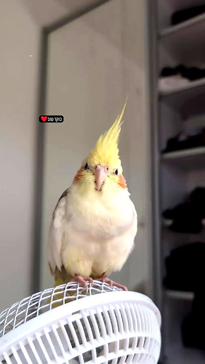 tinapavlov.sky tinapavlov.sky archive video