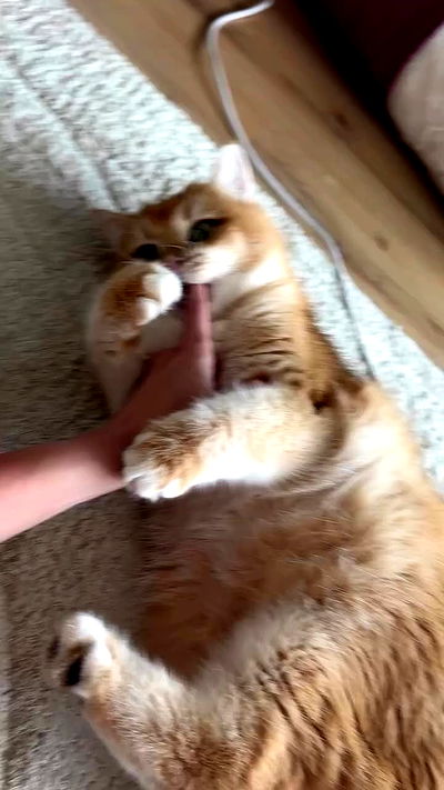 itsilanosh itsilanosh archive video