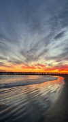 cellow111 Altpins Profile Picture