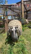 lemsseven Altpins Profile Picture