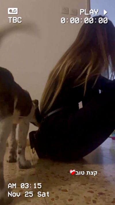 lissi77 lissi77 archive video