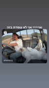 shir.moshe666 Altpins Profile Picture
