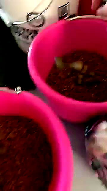 sophieraiin sophieraiin archive video