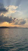 liya_manor_ Altpins Profile Picture