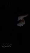 canabaputgir Altpins Profile Picture