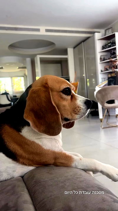 emily.otaku emily.otaku archive video