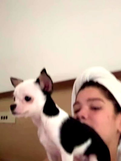 tiliaoficial tiliaoficial archive video