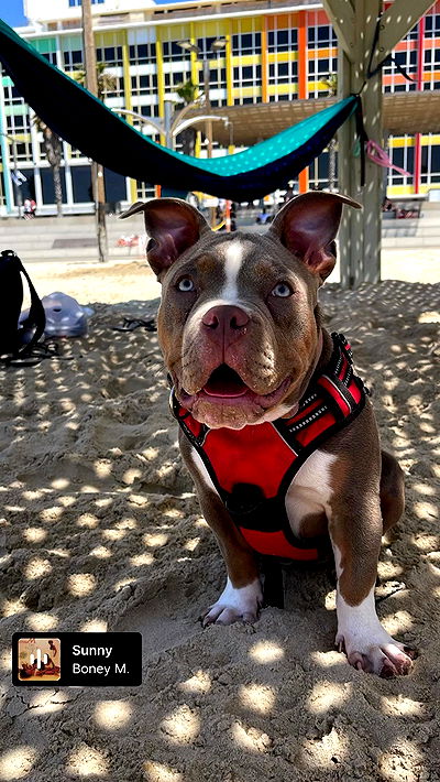 kesemgreenyer kesemgreenyer archive video