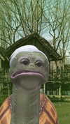 _littlerobin_ Altpins Profile Picture