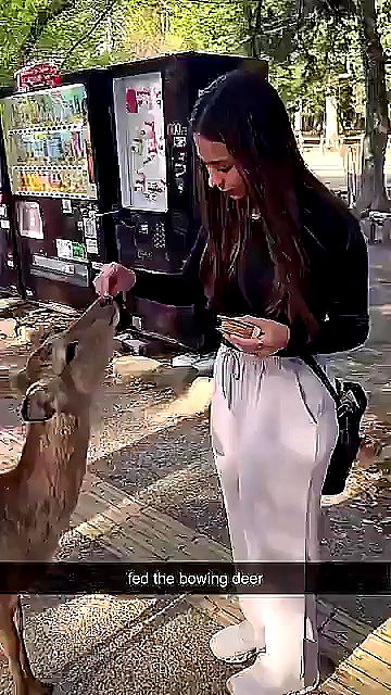 sophieraiin sophieraiin archive video