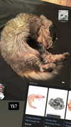 heathergrace67 Altpins Profile Picture