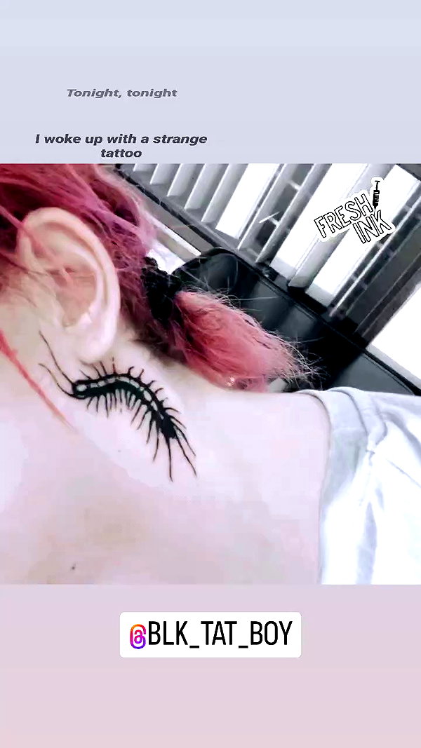 shayli_or archive video preview