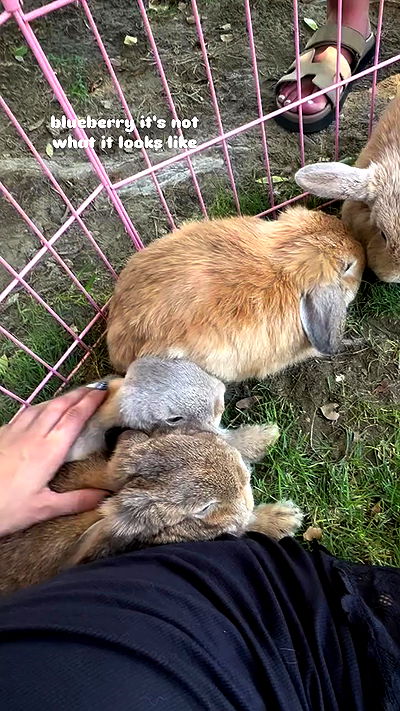 neiimaaa neiimaaa archive video