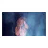 beyonce Altpins Profile Picture