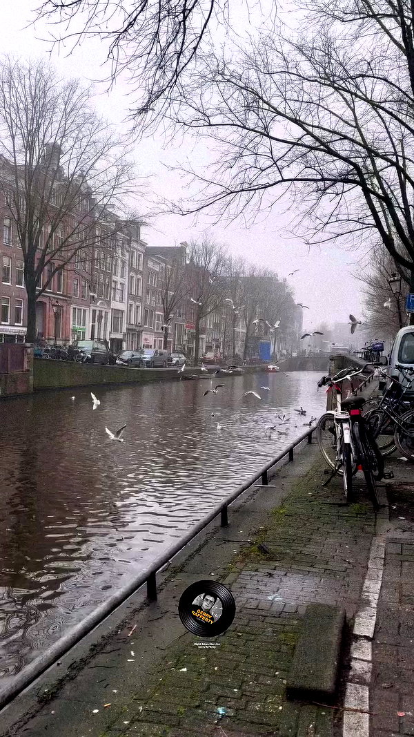 mishel_llll archive video preview