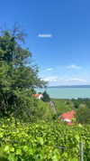 lital.oss Altpins Profile Picture