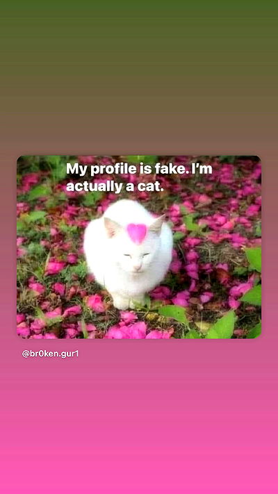 ninja.vi ninja.vi archive video