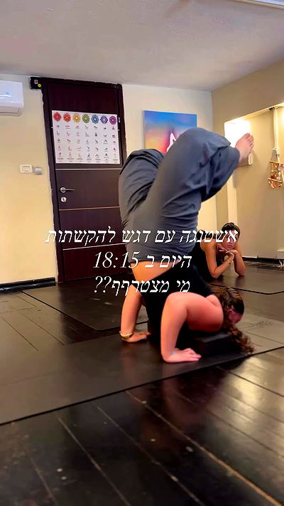 liad.arazi liad.arazi archive video