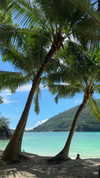 noa_mendel_ Altpins Profile Picture