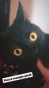 calyen Altpins Profile Picture