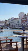 shirel.varol Altpins Profile Picture