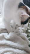 goddessoffxck2 Altpins Profile Picture
