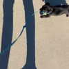 zoe.serena Altpins Profile Picture