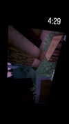 vadim_evs Altpins Profile Picture