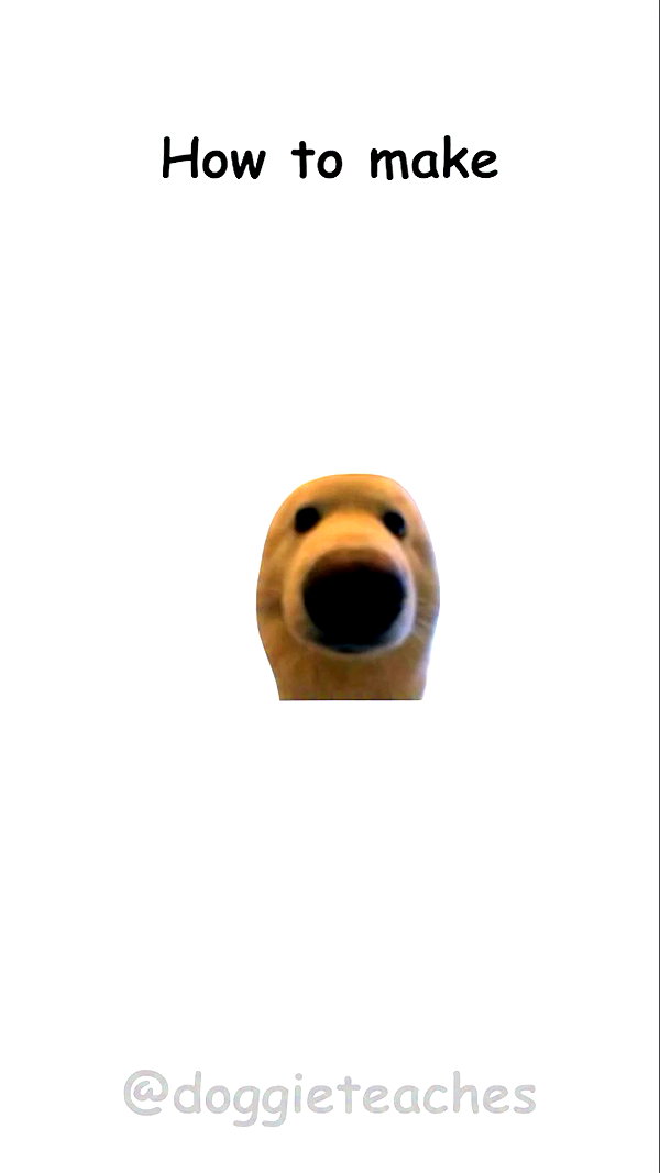 doggieteaches archive video preview