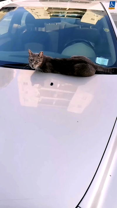 tinapavlov.sky tinapavlov.sky archive video