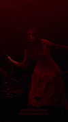 dankathetraveller Altpins Profile Picture