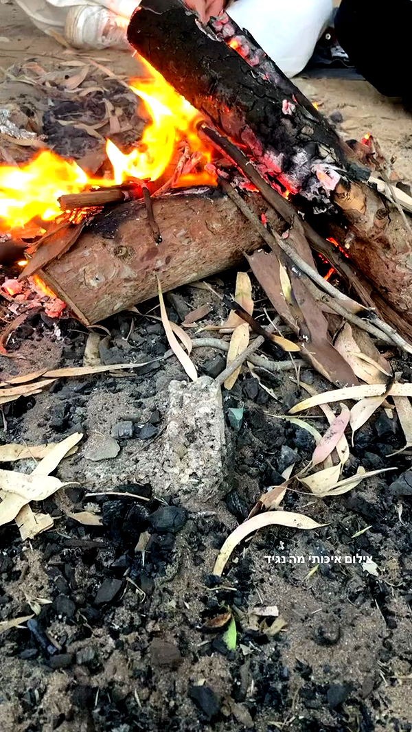 1.lostloli archive video preview