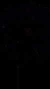 _laleonetti_ Altpins Profile Picture