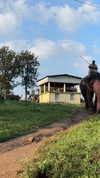 noa_mendel_ Altpins Profile Picture