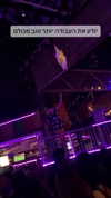 molly_fridman Altpins Profile Picture