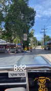 molly_fridman Altpins Profile Picture