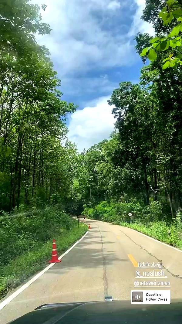 molly_fridman archive video preview