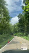 molly_fridman Altpins Profile Picture