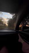 dianavgalvis Altpins Profile Picture